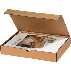 12 1/8 x 9 1/4 x 2 Literature Mailer