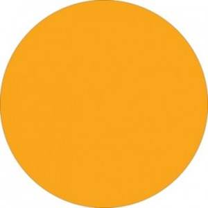 1" Fluorescent Orange Inventory Circle