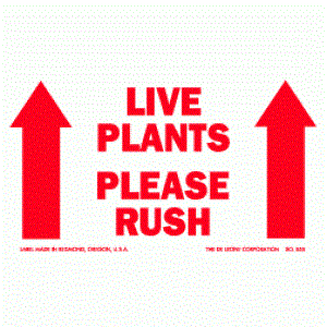 3 x 5 Live Plants Please Rush