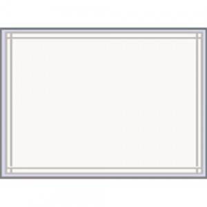 7" x 5" PQ-21 NP Clear Packing List Envelope