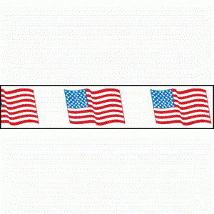 American Flags